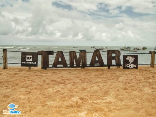 Projeto TAMAR - Praia do Forte-BA
