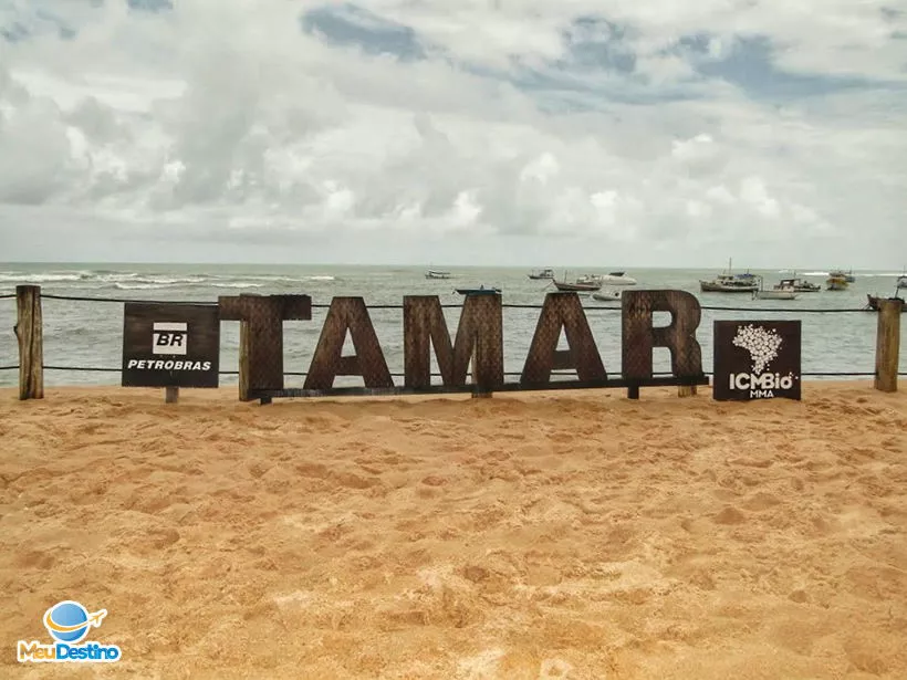 Projeto TAMAR - Praia do Forte-BA