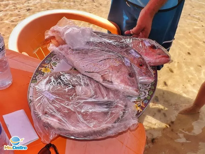 Ilha de Areia Vermelha - Cabedelo - João Pessoa-PB