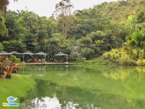 Inhotim - Museu de Arte Contemporânea e Jardim Botânico - Brumadinho-MG
