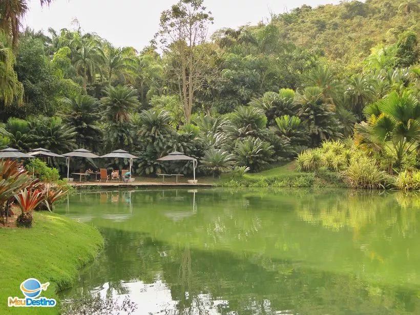 Inhotim - Museu de Arte Contemporânea e Jardim Botânico - Brumadinho-MG