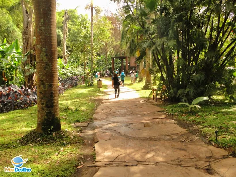 Inhotim - Museu de Arte Contemporânea e Jardim Botânico - Brumadinho-MG