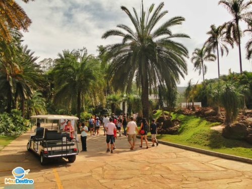 Inhotim - Museu de Arte Contemporânea e Jardim Botânico - Brumadinho-MG