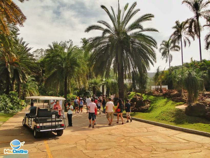 Inhotim - Museu de Arte Contemporânea e Jardim Botânico - Brumadinho-MG