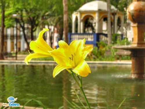 Praça Gomes Freire - Mariana-MG