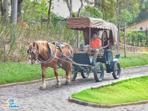Passeio de Charrete