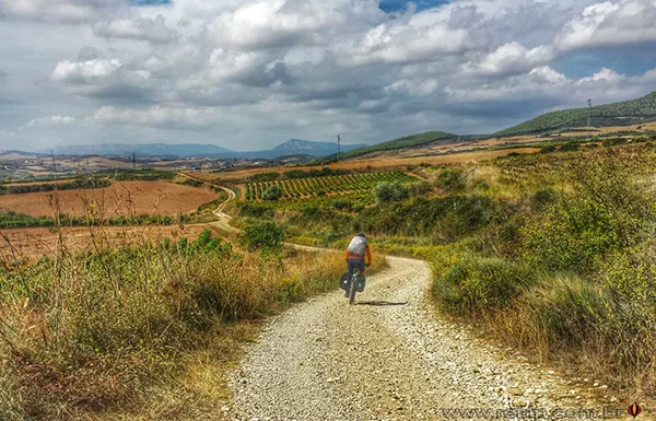 Pedalando