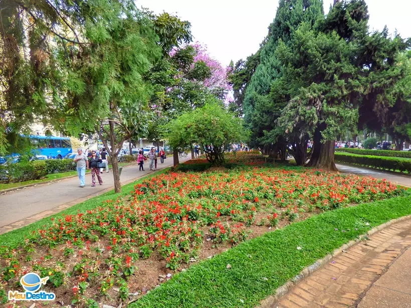 Canteiro de Flores