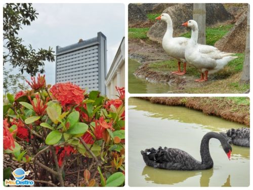 Cidade do Romeiro - Aparecida-SP