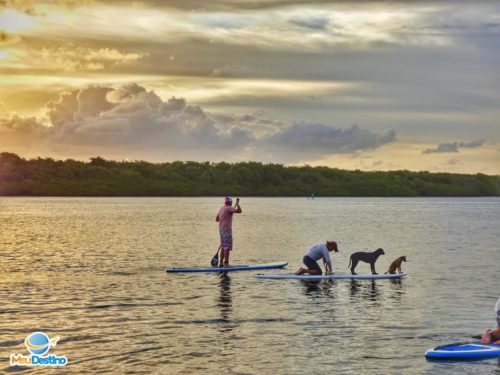 SUP Amigos - Aracaju-SE