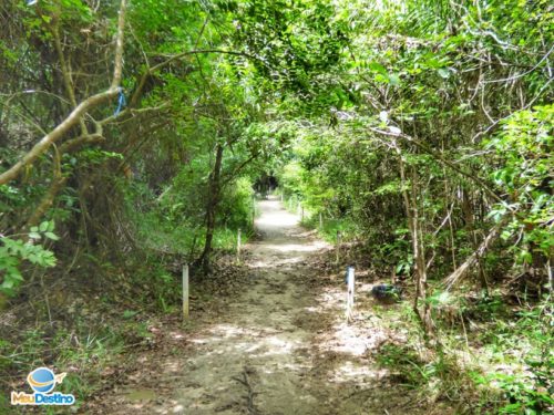 Parque da Cidade