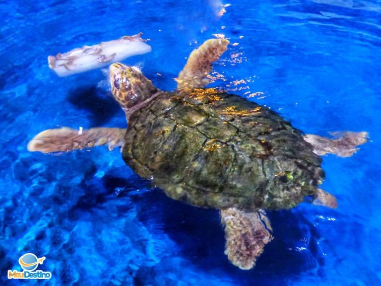 Oceanário de Aracaju-SE