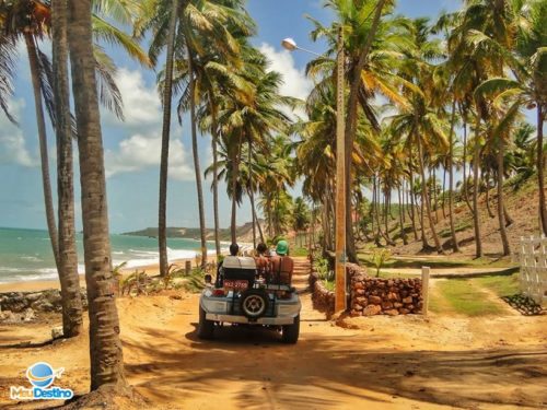 Passeio de Buggy - Praia de Coqueirinho - Conde-PB