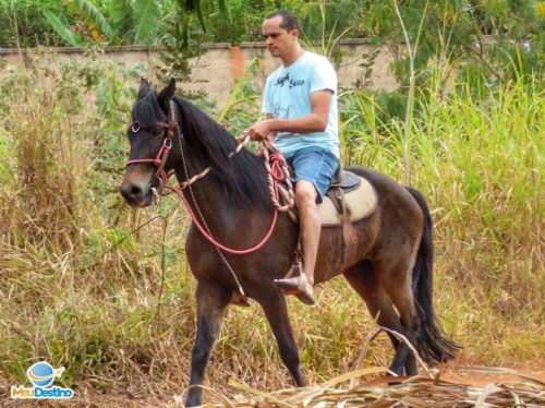 Passeio à cavalo