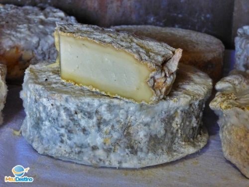 Queijo Frei Rosário