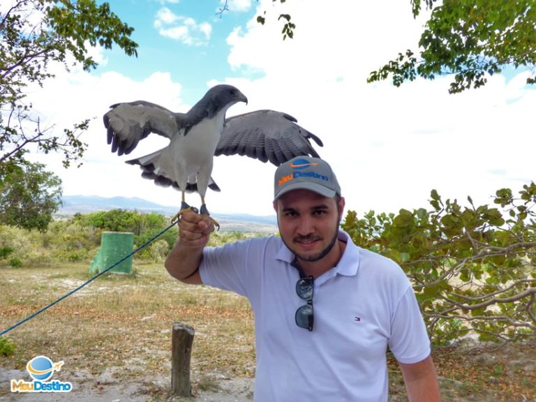 Parque dos Falcões - Itabaiana-SE