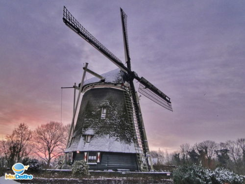 O que fazer em Amsterdam - Holanda - Países Baixos