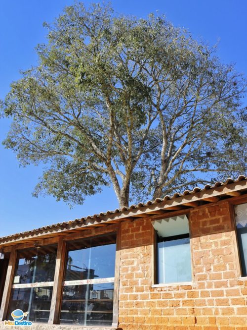 Projeto Vem Pro Forno - São Tiago-MG