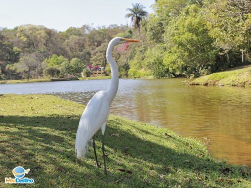 Tauá Grande Hotel e Termas de Araxá-MG