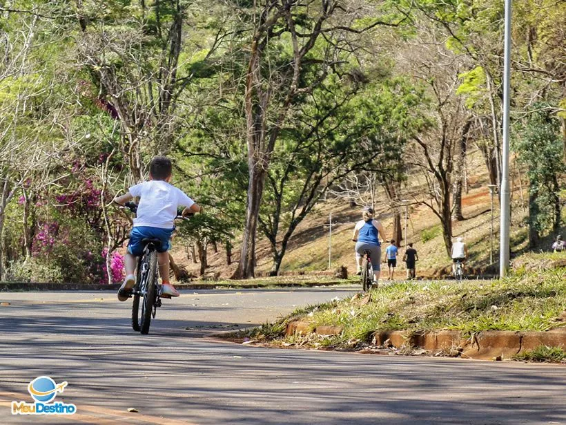 Bicicletas
