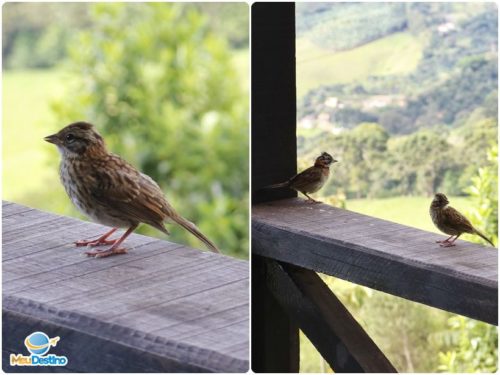 Pousada Morada do Luar - Hospedagem em Gonçalves-MG