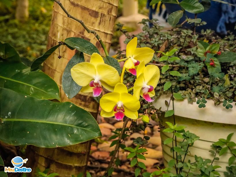 Pousada e Restaurante Maria das Flores - São Gonçalo do Abaeté-MG