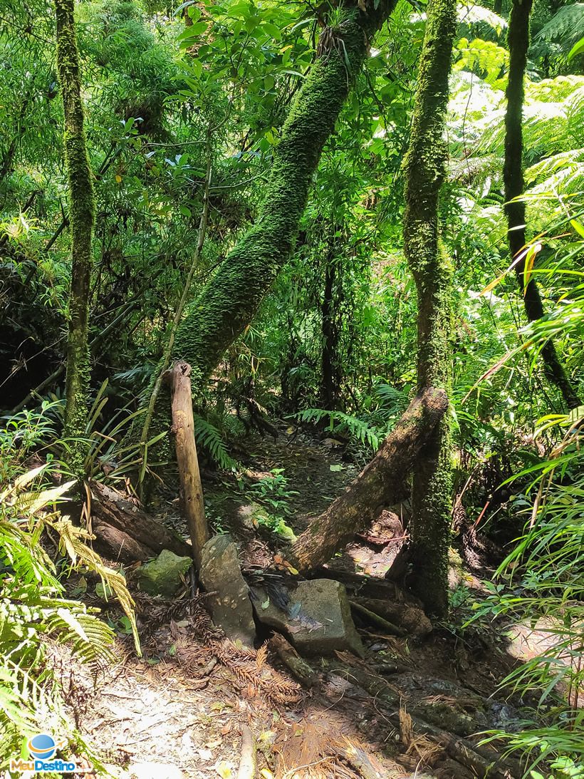 Parque Oschin - Monte Verde-MG