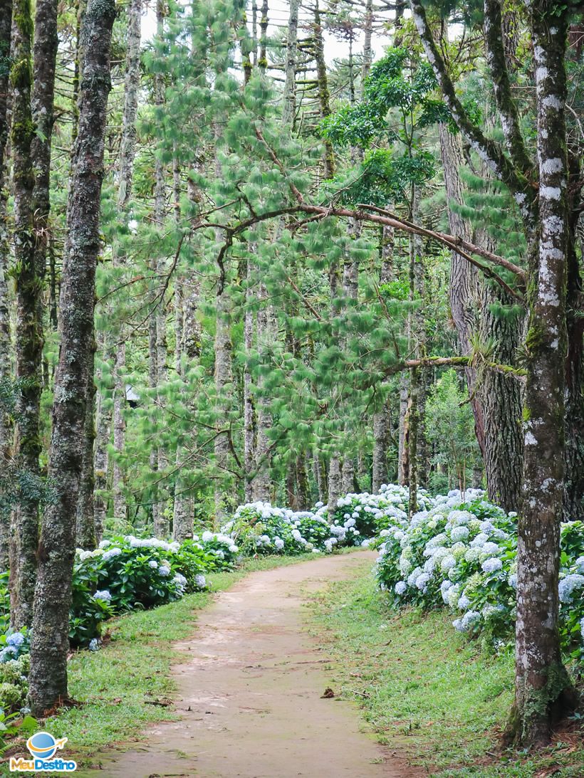 Parque Oschin - Monte Verde-MG